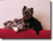 Dorinka a jej� kamar�d