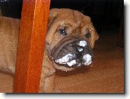 "P�eci mi tu dobrotu nechce� ut��t!"