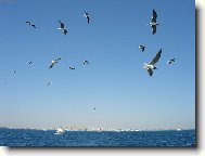 Na v�let� lod�.