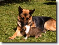 Mohu proj�t,pros�m.