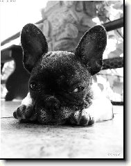 ..takhle mi p�eb�rat p�n��ka!....