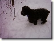 copak tam asi vid�