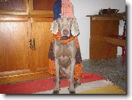 a m��eme vyrazit.....