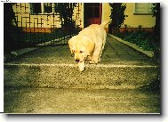 A je�t� druhou no�i�ku...