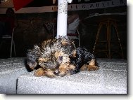 mal� ale �ikovn�