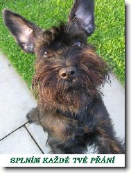 Spln�m ka�d� tv� p��n�