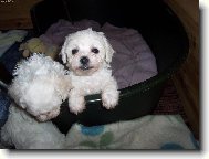 tv���m se hezky?