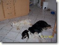 neru�it odpo��v�me