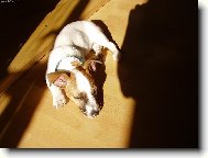 mal� Mija poprv�