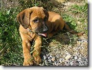 To m�m hezk� jaz��ek!!!