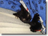 M�j aktivn� mazl�k