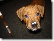 M�ami to bylo dobr�!!