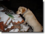 Je�t� kousek a m�m ho!