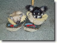 To se n�m kr�sn� spink�