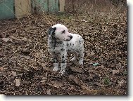 Tracynka,nen� n�dhern�?Je,je,je je......