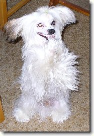 Sm�ju se na sv�t..