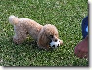 Tak,je m�j a te� si m� bude� muset chytit!