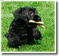 �t�n� s kol��ky