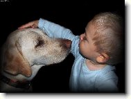 My se m�me r�di ...