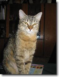 Tak to jsem j� - Micka z Uh��n�vsi