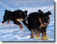 L�taj�c� Vamp�r