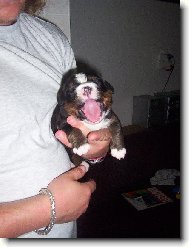 Chci sp���t...