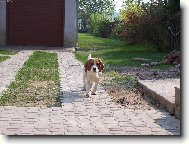 U� k v�m b��m.