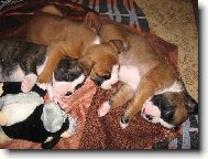 Na�e �t�st��ka