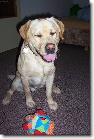 J� nejsem li��k!