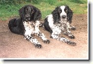 Nejlep�� oha�i