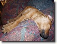 Prost� sp�m.....