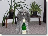 terezka p�iopit�