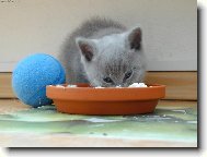 Kdy� budu hodn� ba�tit, vyrostu jako m�ma