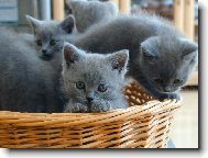 Up��mn� pohled