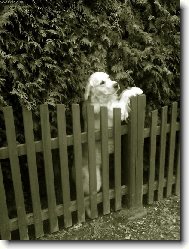 Tak V�m teda n�jak zap�zuju,kdy� u� jste tu s tim fo��kem..stojim dob�e?