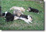 ...pohoda,kl�dek,tab��ek...