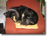 ...bez konemt��e...