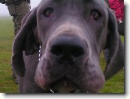 detail 8m�s�c�