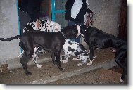 Bubi na n�v�t�v�