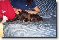 neru�it spink�m....