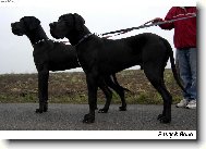 Br�kov� na proch�zce