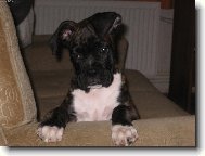 J� jsem mali�k�