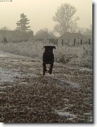 L�taj�c� �estm�r