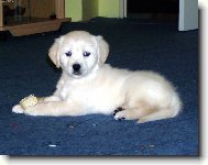 tak te� m� vyfo�