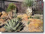 M� kousek Arizony 2