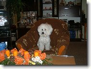 obl�ben� m�sto