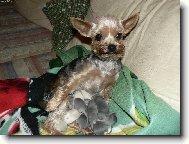 Starostliv� "teta"