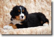 Mal� �t���tko