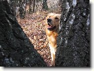 No to teda kouk�m.