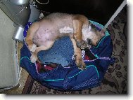 Aby jste m� tady n�hodou nezapom�li! jistota je jistota